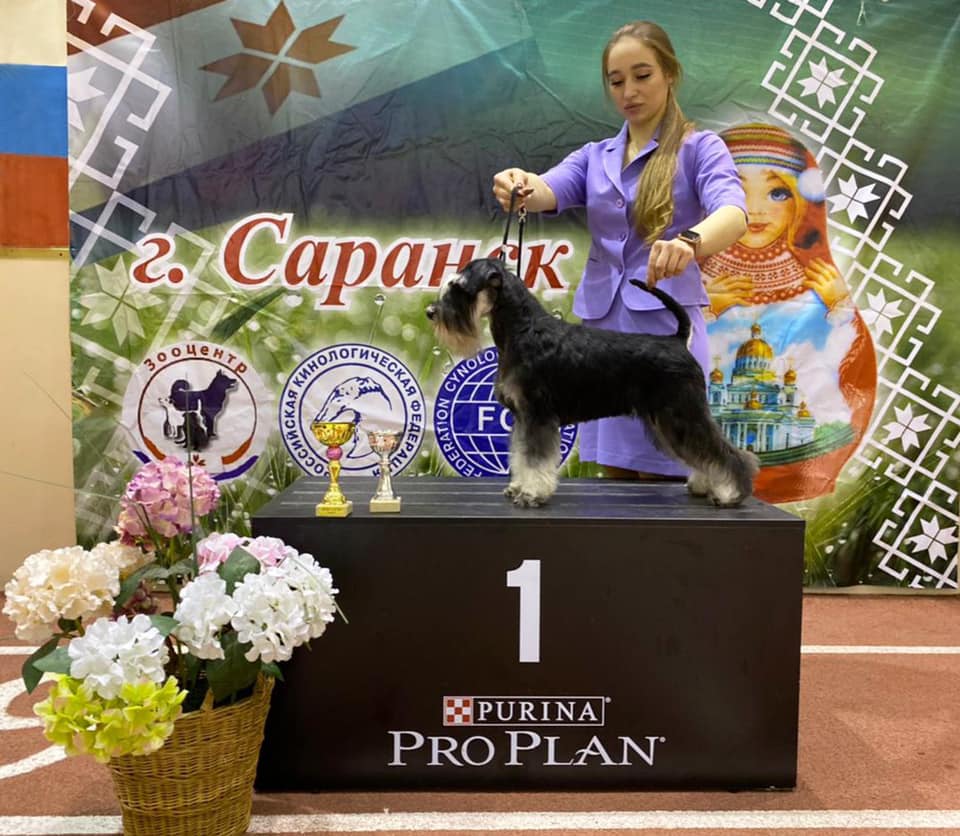 http://upforme.ru/uploads/0013/26/e2/64/725742.jpg