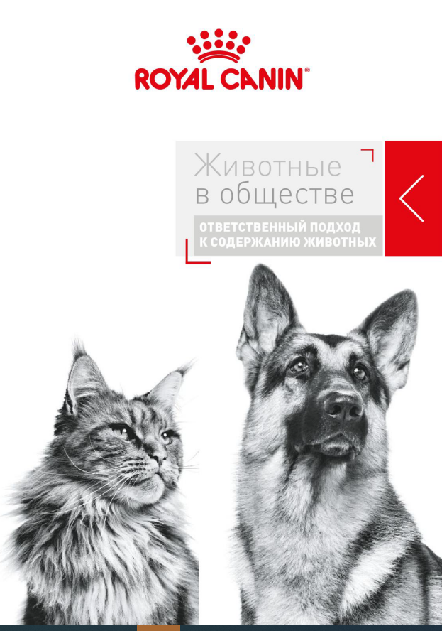 http://upforme.ru/uploads/0013/26/e2/64/729535.png
