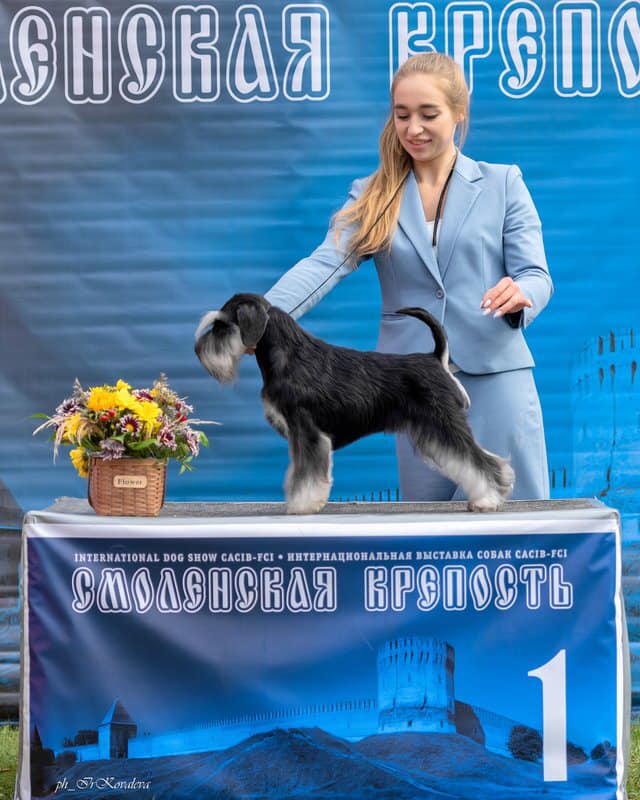 http://upforme.ru/uploads/0013/26/e2/64/730781.jpg