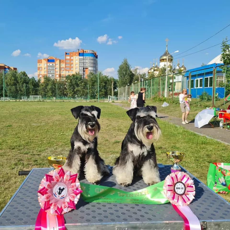 http://upforme.ru/uploads/0013/26/e2/64/734361.jpg
