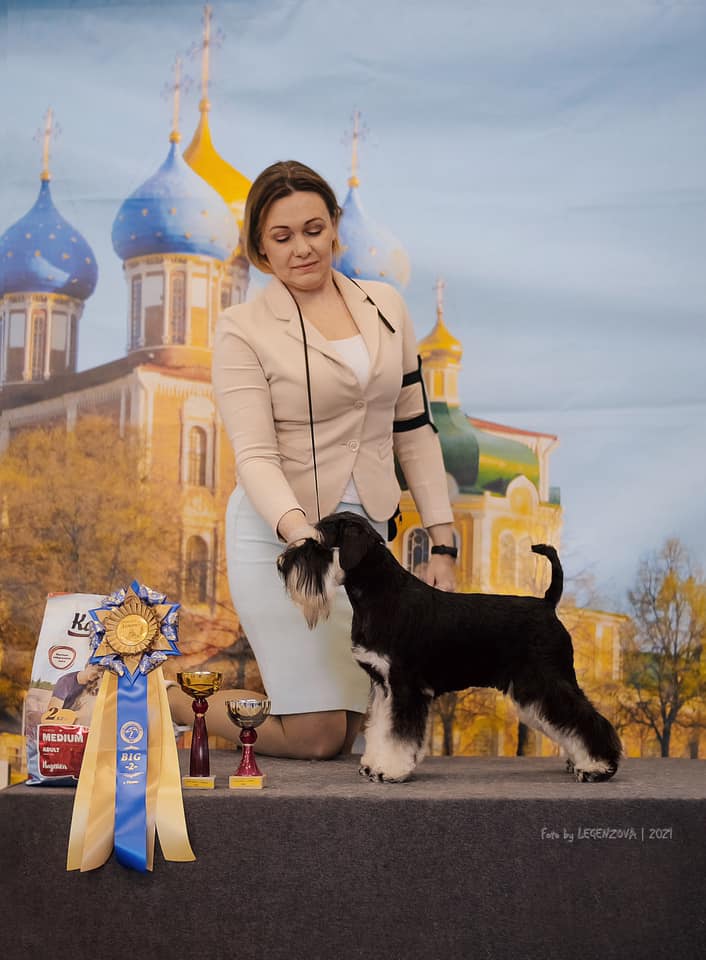http://upforme.ru/uploads/0013/26/e2/64/735733.jpg