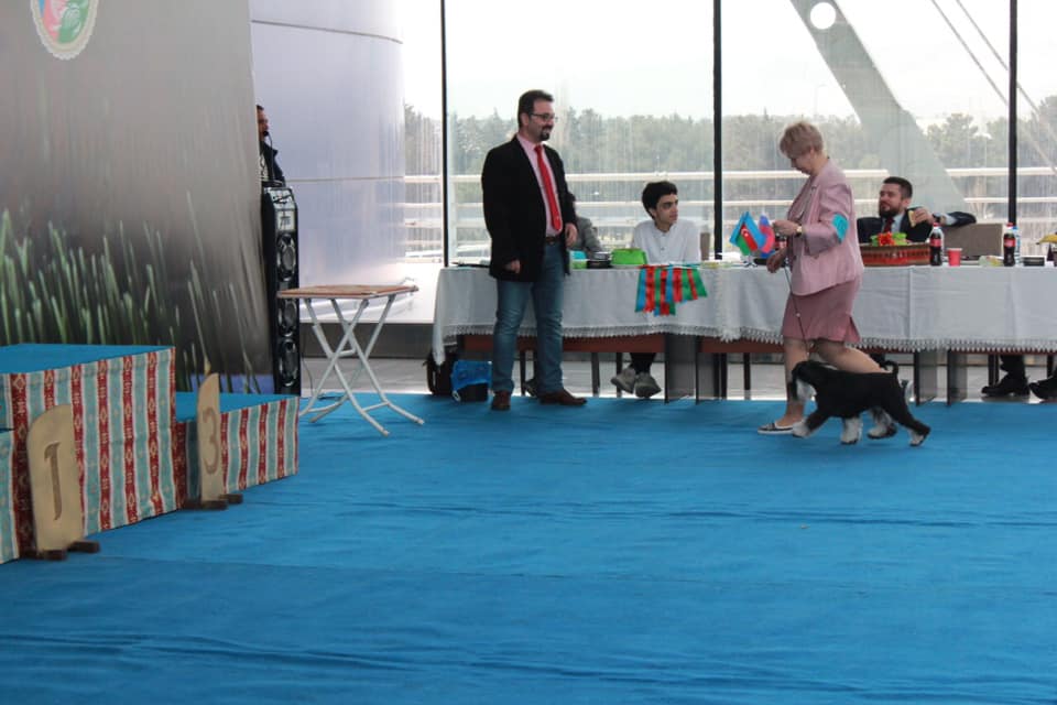 http://upforme.ru/uploads/0013/26/e2/64/736198.jpg