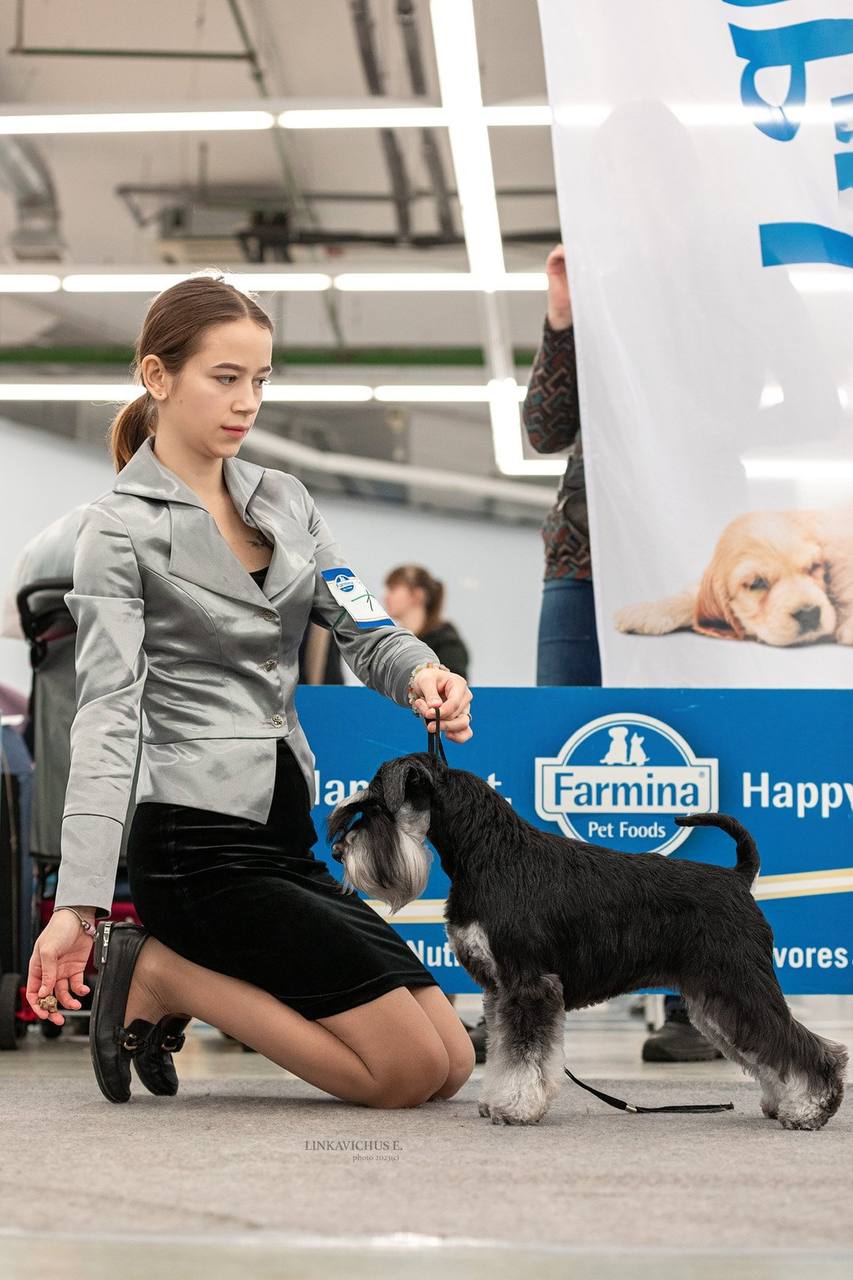 http://upforme.ru/uploads/0013/26/e2/64/745637.jpg