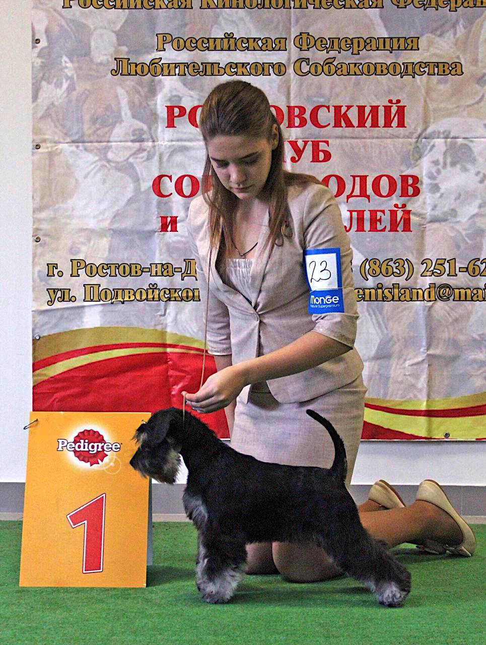 http://upforme.ru/uploads/0013/26/e2/64/749576.jpg