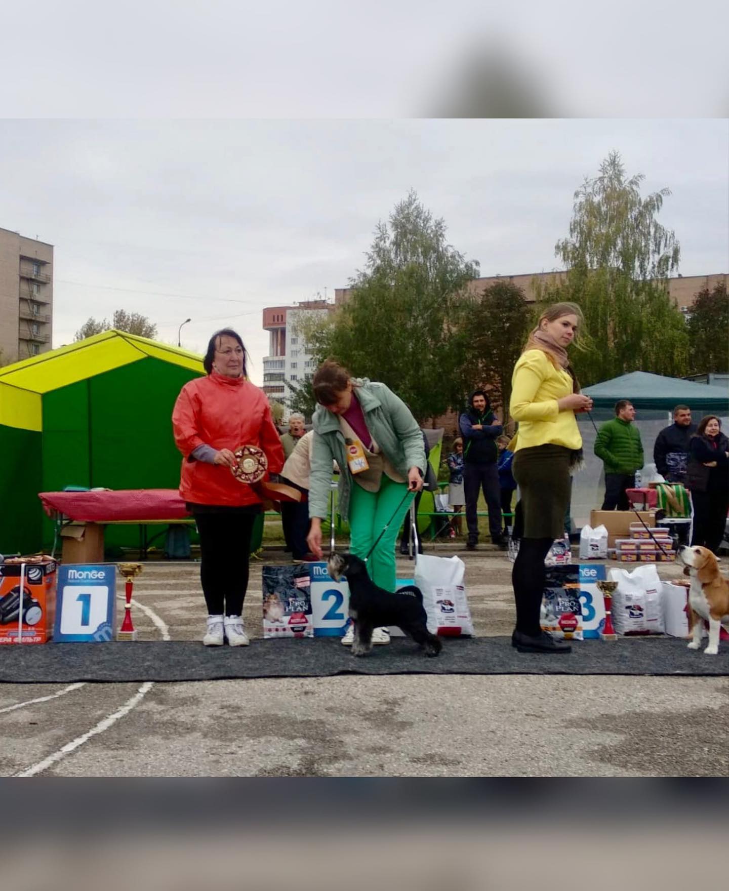 http://upforme.ru/uploads/0013/26/e2/64/754471.jpg