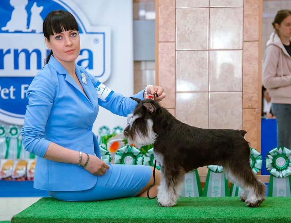 http://upforme.ru/uploads/0013/26/e2/64/766600.jpg