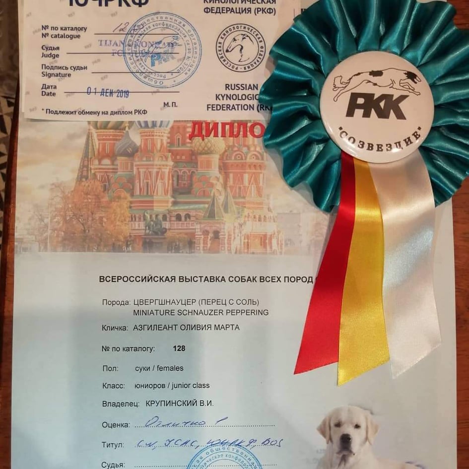 http://upforme.ru/uploads/0013/26/e2/64/76897.jpg
