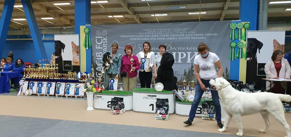 http://upforme.ru/uploads/0013/26/e2/64/769054.jpg
