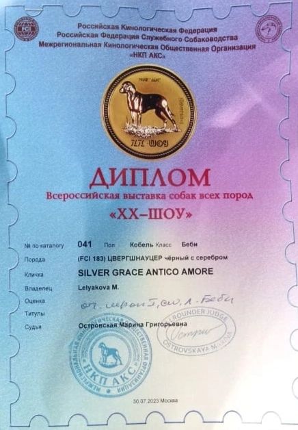 http://upforme.ru/uploads/0013/26/e2/64/774564.jpg
