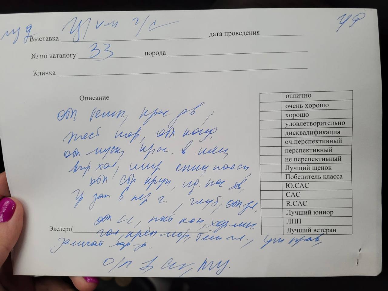 http://upforme.ru/uploads/0013/26/e2/64/784074.jpg