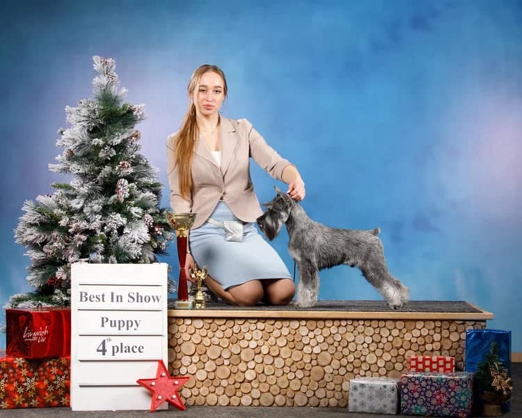 http://upforme.ru/uploads/0013/26/e2/64/786289.jpg