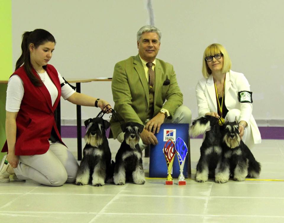 http://upforme.ru/uploads/0013/26/e2/64/796228.jpg