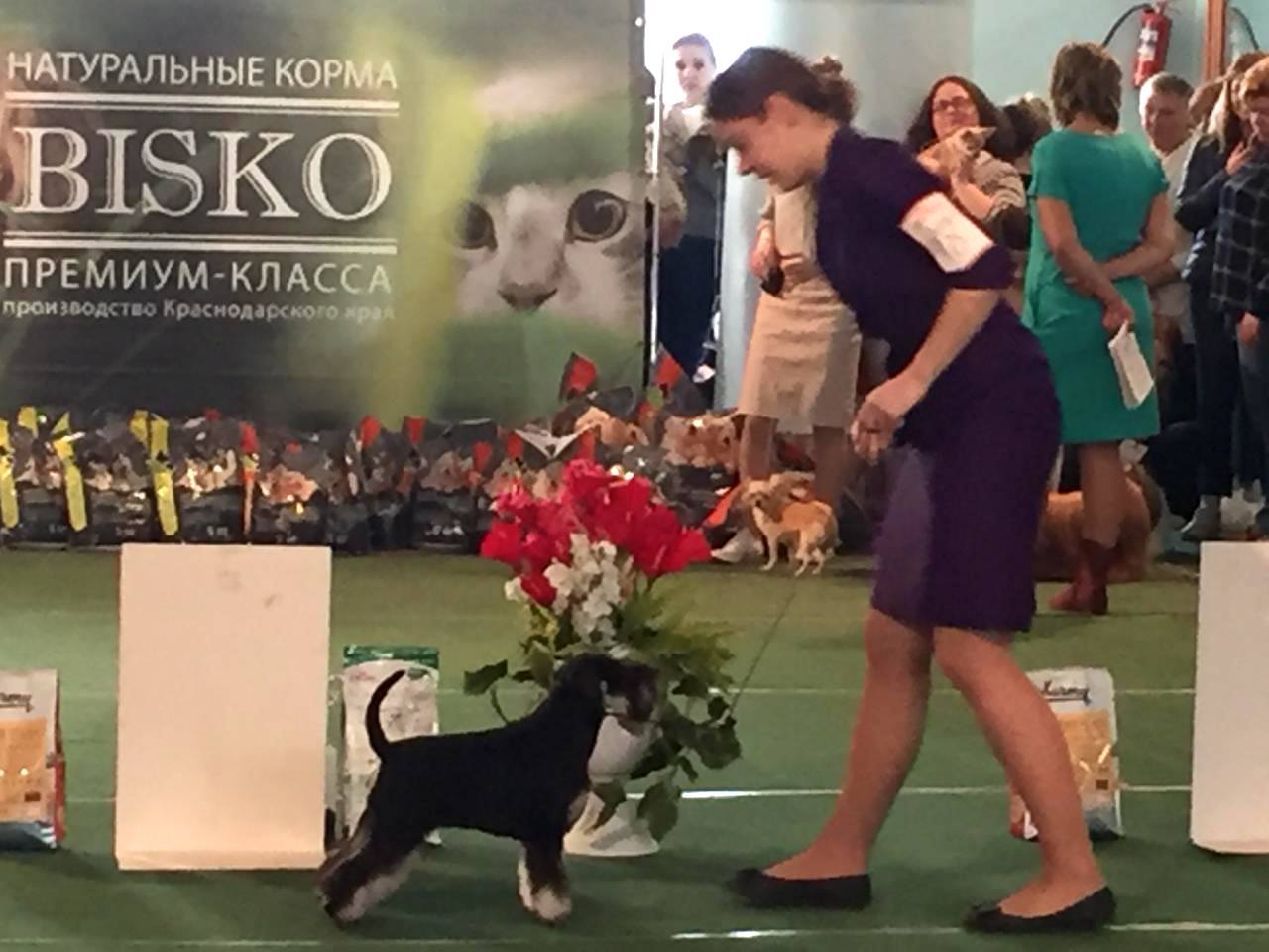 http://upforme.ru/uploads/0013/26/e2/64/803883.jpg