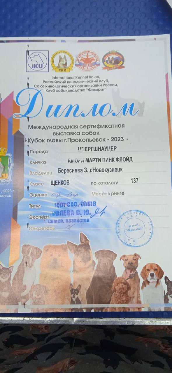 http://upforme.ru/uploads/0013/26/e2/64/809797.jpg