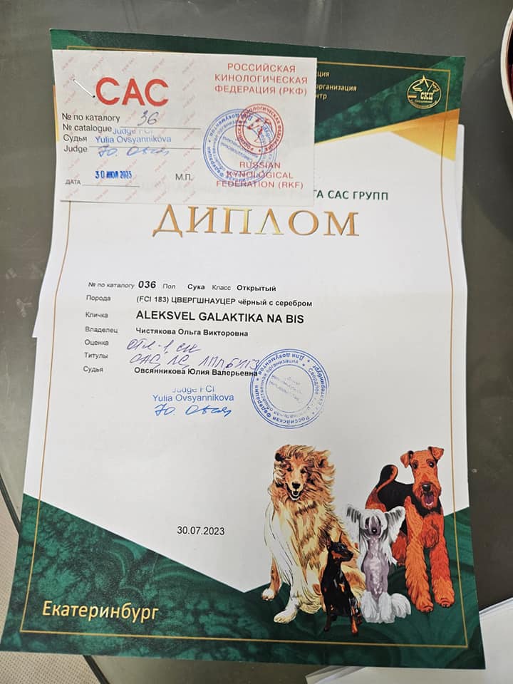 http://upforme.ru/uploads/0013/26/e2/64/81216.jpg