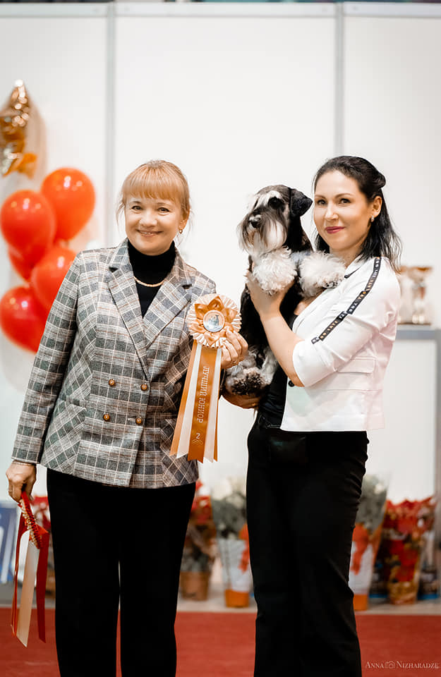 http://upforme.ru/uploads/0013/26/e2/64/814549.jpg