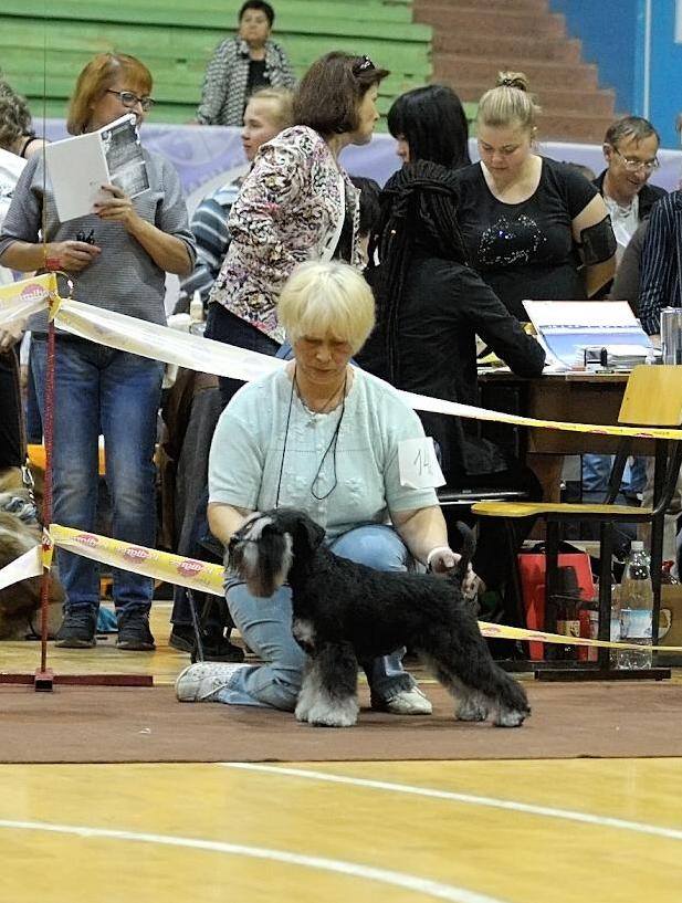 http://upforme.ru/uploads/0013/26/e2/64/817196.jpg