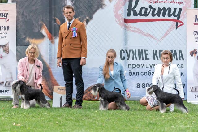 http://upforme.ru/uploads/0013/26/e2/64/823501.jpg