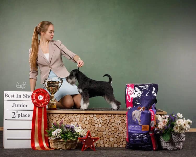 http://upforme.ru/uploads/0013/26/e2/64/827462.jpg