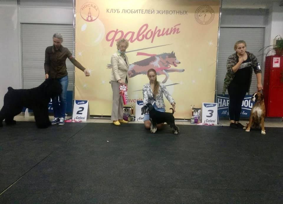 http://upforme.ru/uploads/0013/26/e2/64/828106.jpg