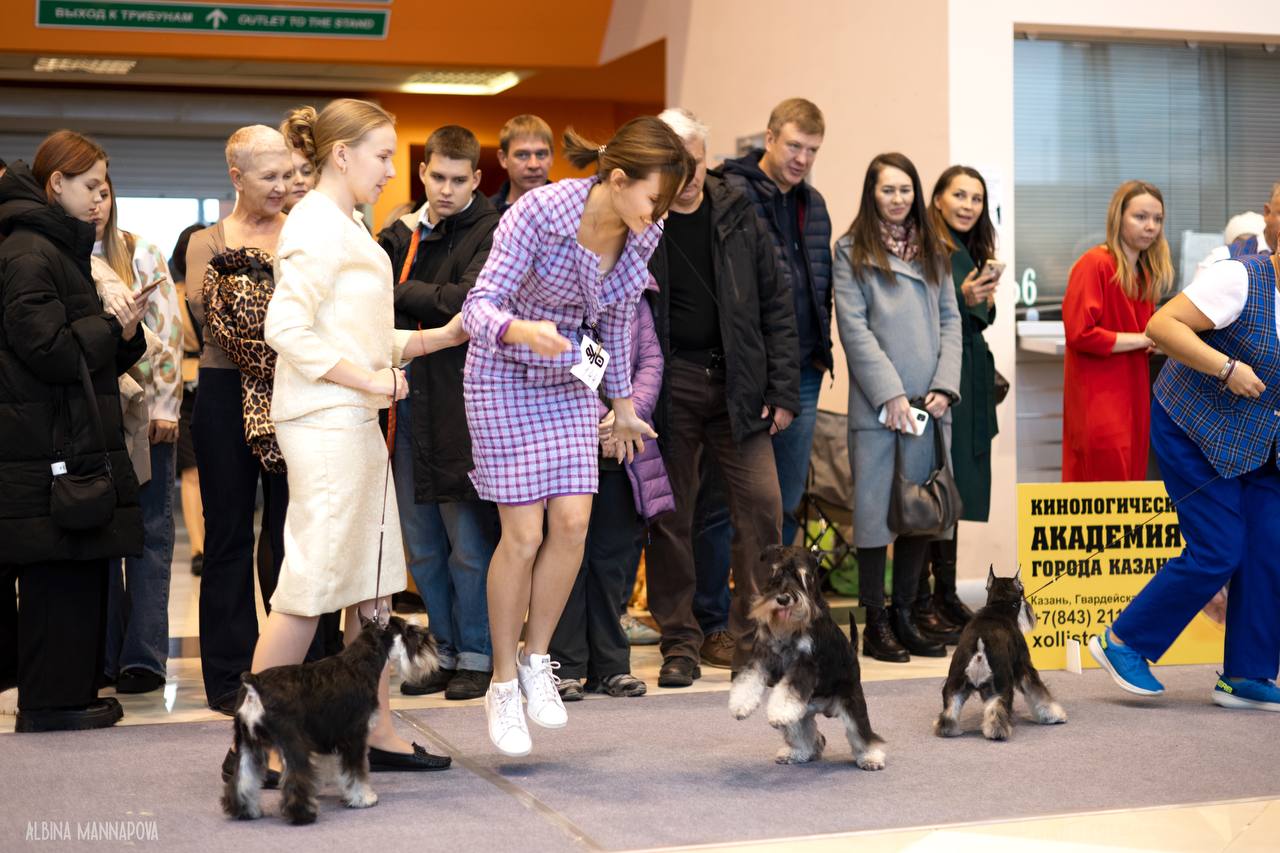http://upforme.ru/uploads/0013/26/e2/64/866306.jpg