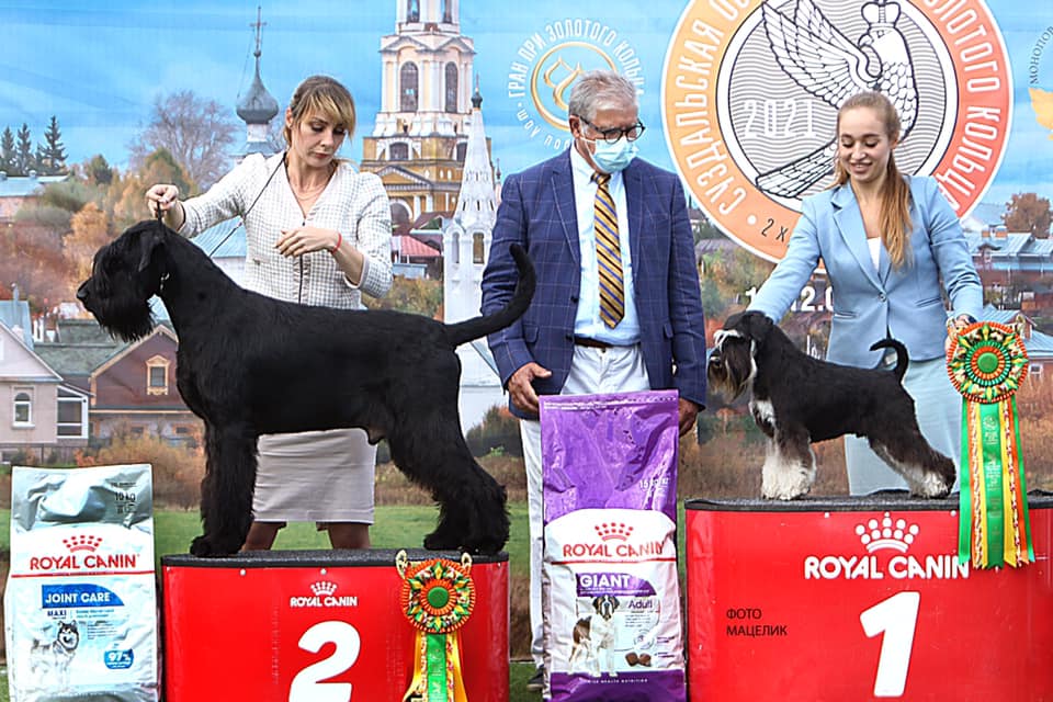 http://upforme.ru/uploads/0013/26/e2/64/866348.jpg