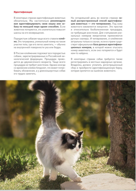http://upforme.ru/uploads/0013/26/e2/64/871292.png