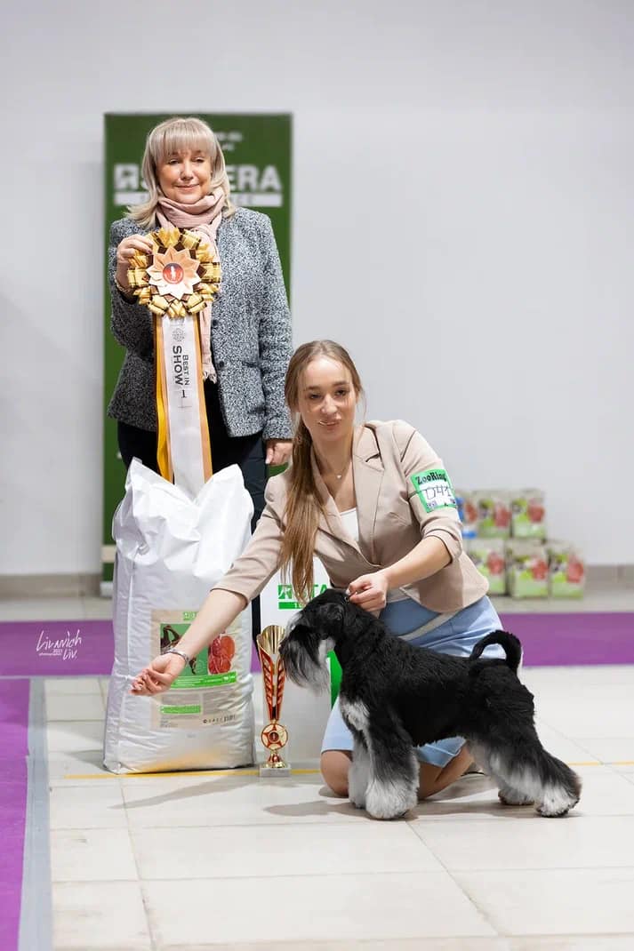 http://upforme.ru/uploads/0013/26/e2/64/880416.jpg