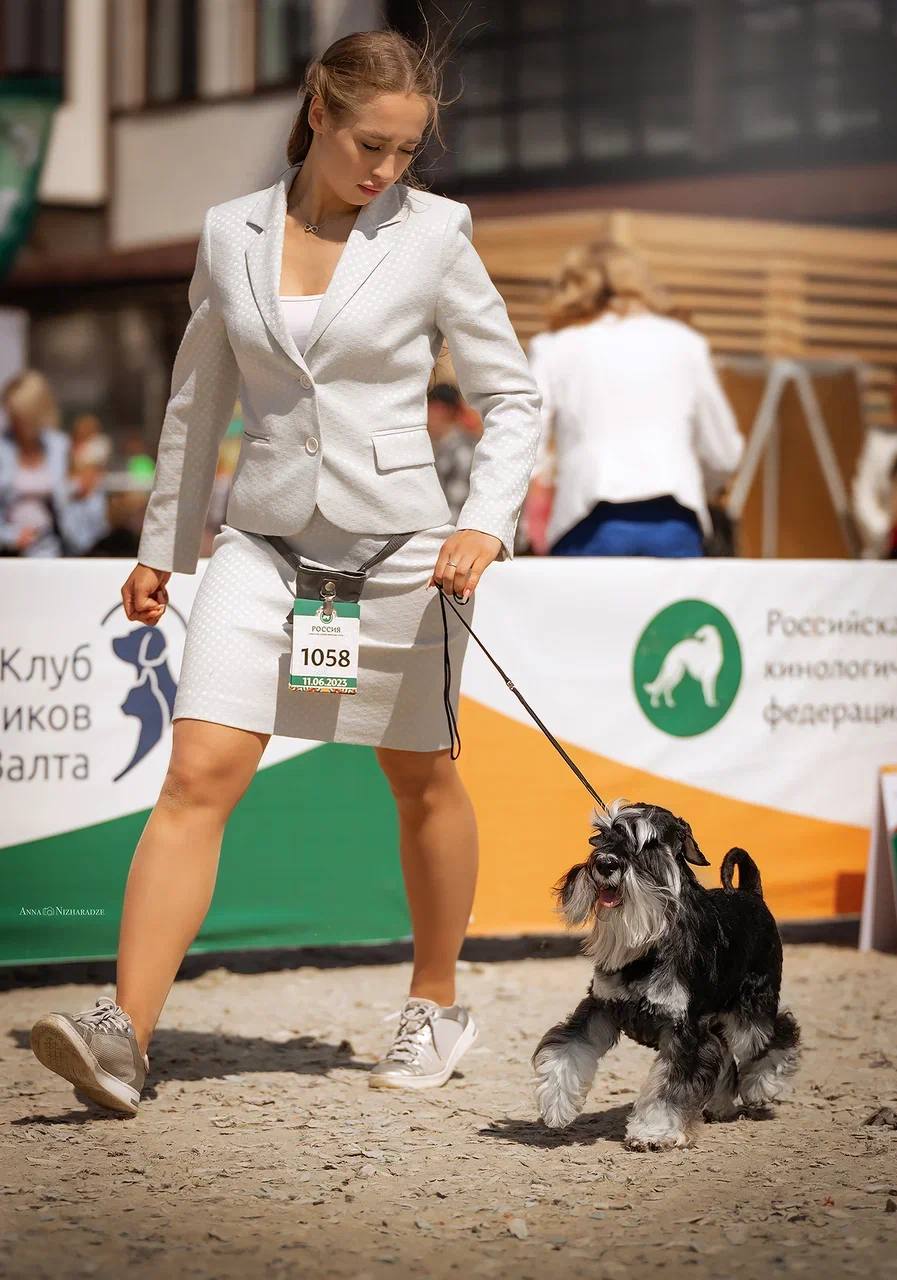 http://upforme.ru/uploads/0013/26/e2/64/886545.jpg