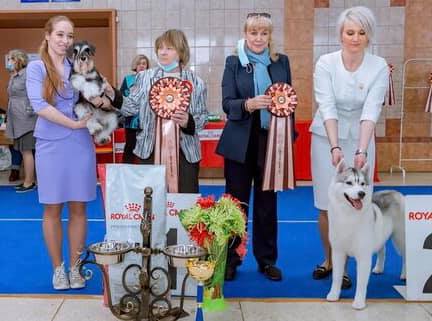 http://upforme.ru/uploads/0013/26/e2/64/898652.jpg