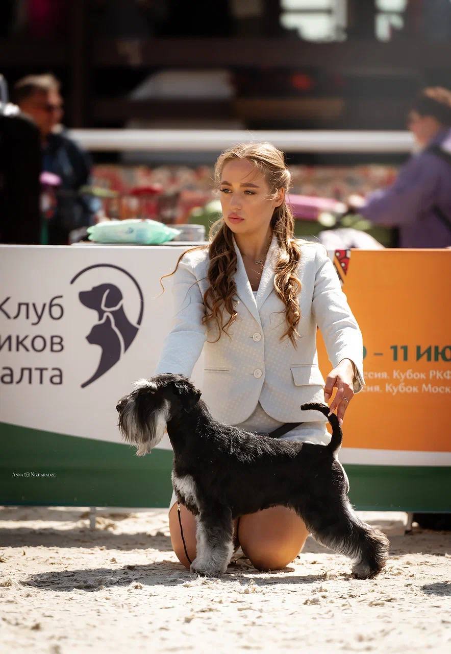 http://upforme.ru/uploads/0013/26/e2/64/904632.jpg