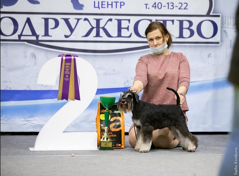 http://upforme.ru/uploads/0013/26/e2/64/910235.jpg