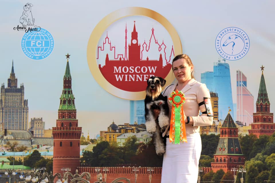 http://upforme.ru/uploads/0013/26/e2/64/911863.jpg