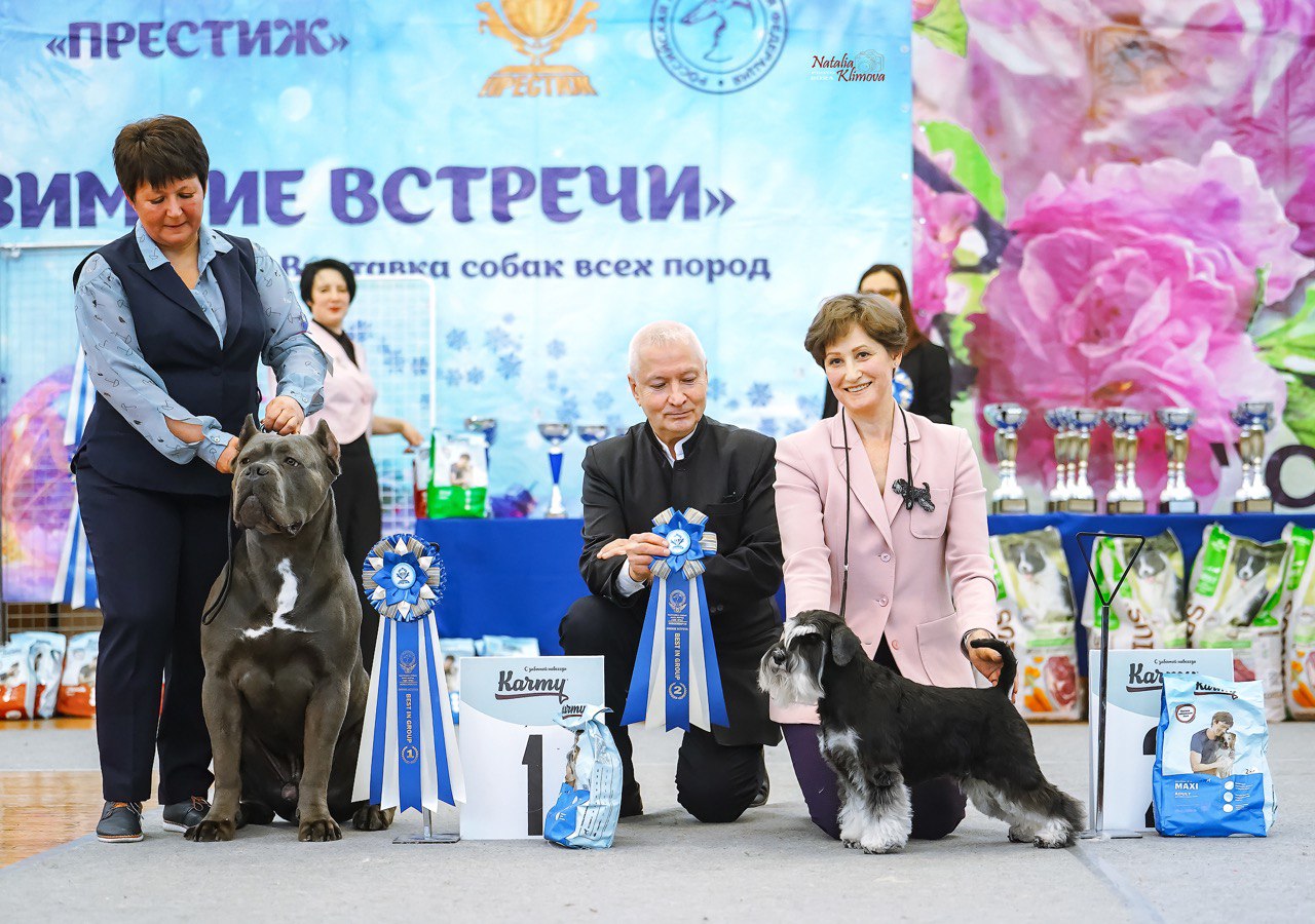http://upforme.ru/uploads/0013/26/e2/64/917522.jpg