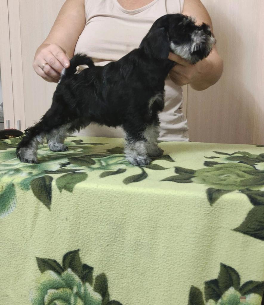 http://upforme.ru/uploads/0013/26/e2/64/918348.jpg
