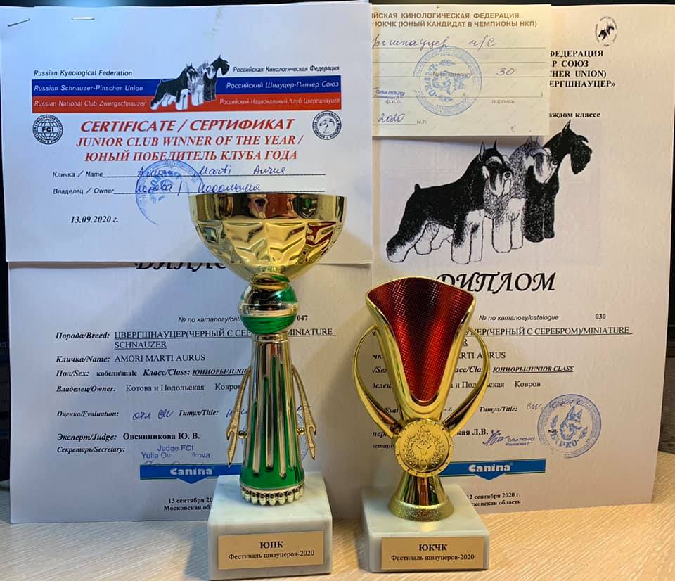 http://upforme.ru/uploads/0013/26/e2/64/922991.jpg