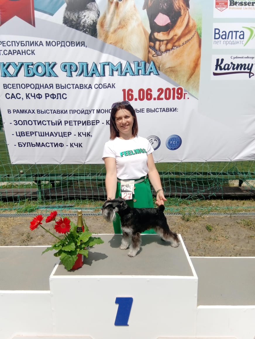 http://upforme.ru/uploads/0013/26/e2/64/934347.jpg