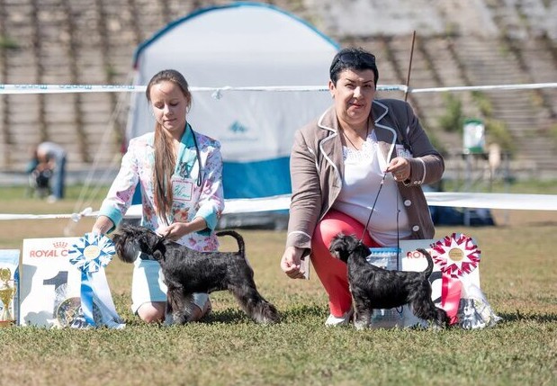 http://upforme.ru/uploads/0013/26/e2/64/934561.jpg