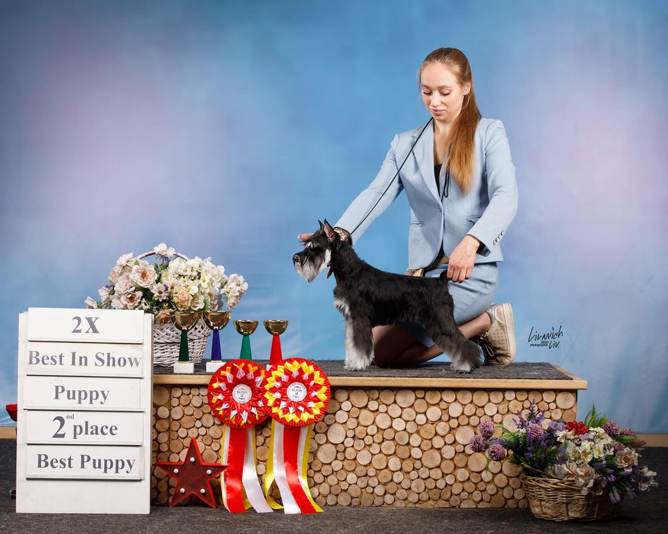 http://upforme.ru/uploads/0013/26/e2/64/936912.jpg