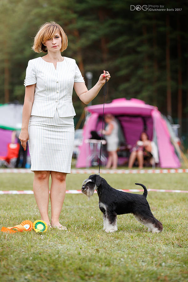 http://upforme.ru/uploads/0013/26/e2/64/94036.jpg