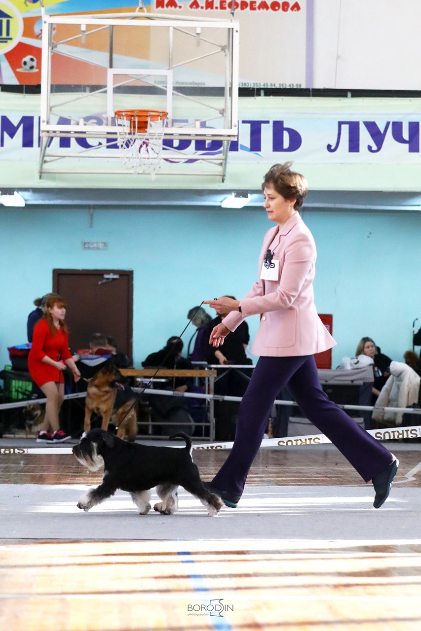 http://upforme.ru/uploads/0013/26/e2/64/959096.jpg