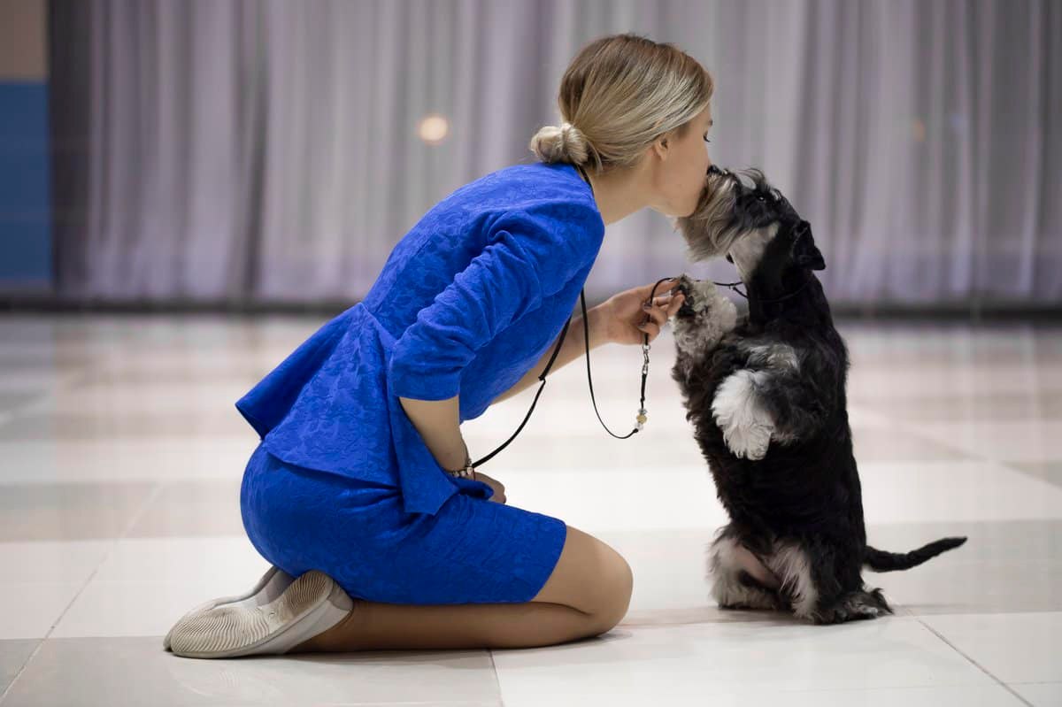 http://upforme.ru/uploads/0013/26/e2/64/965777.jpg