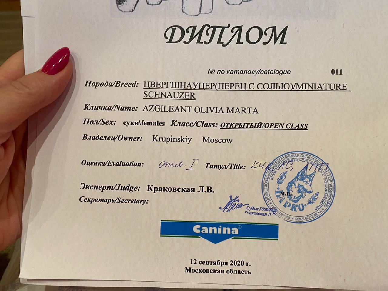 http://upforme.ru/uploads/0013/26/e2/64/965927.jpg