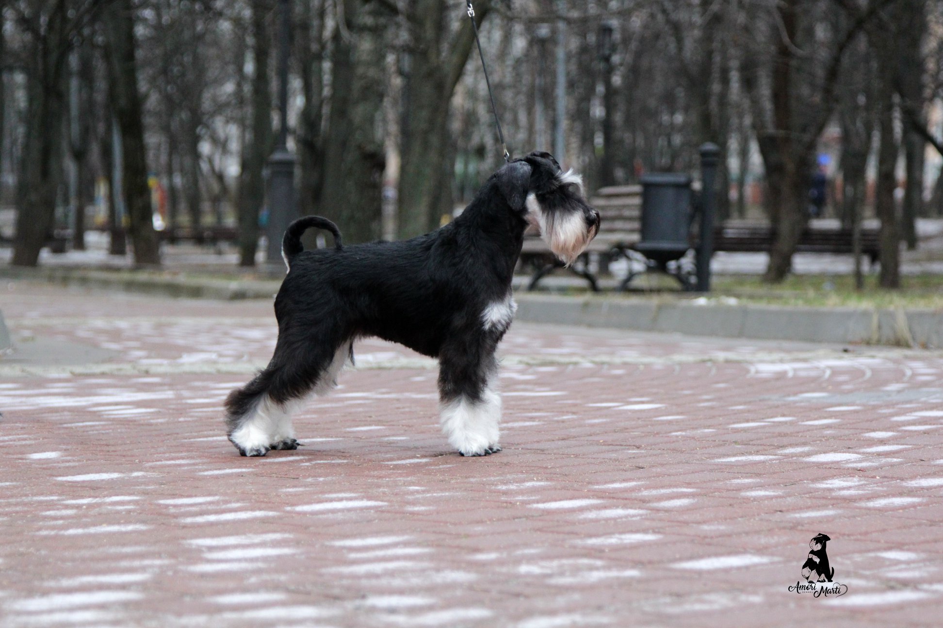 http://upforme.ru/uploads/0013/26/e2/64/968912.jpg