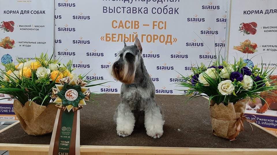 http://upforme.ru/uploads/0013/26/e2/64/969884.jpg