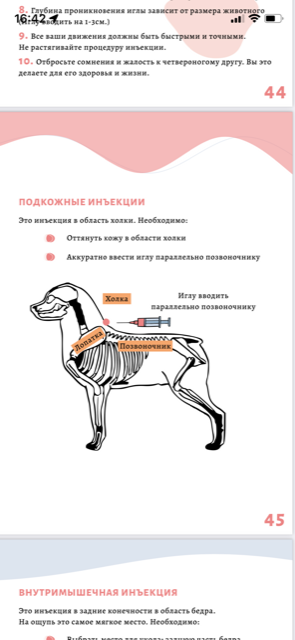 http://upforme.ru/uploads/0013/26/e2/64/97008.png