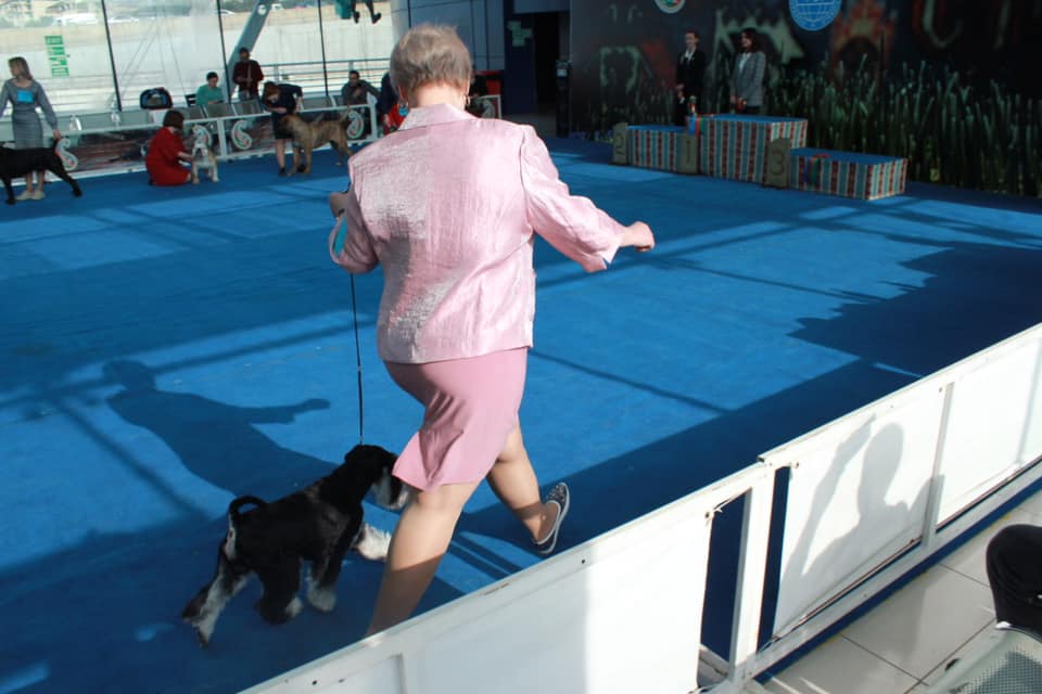 http://upforme.ru/uploads/0013/26/e2/64/971834.jpg