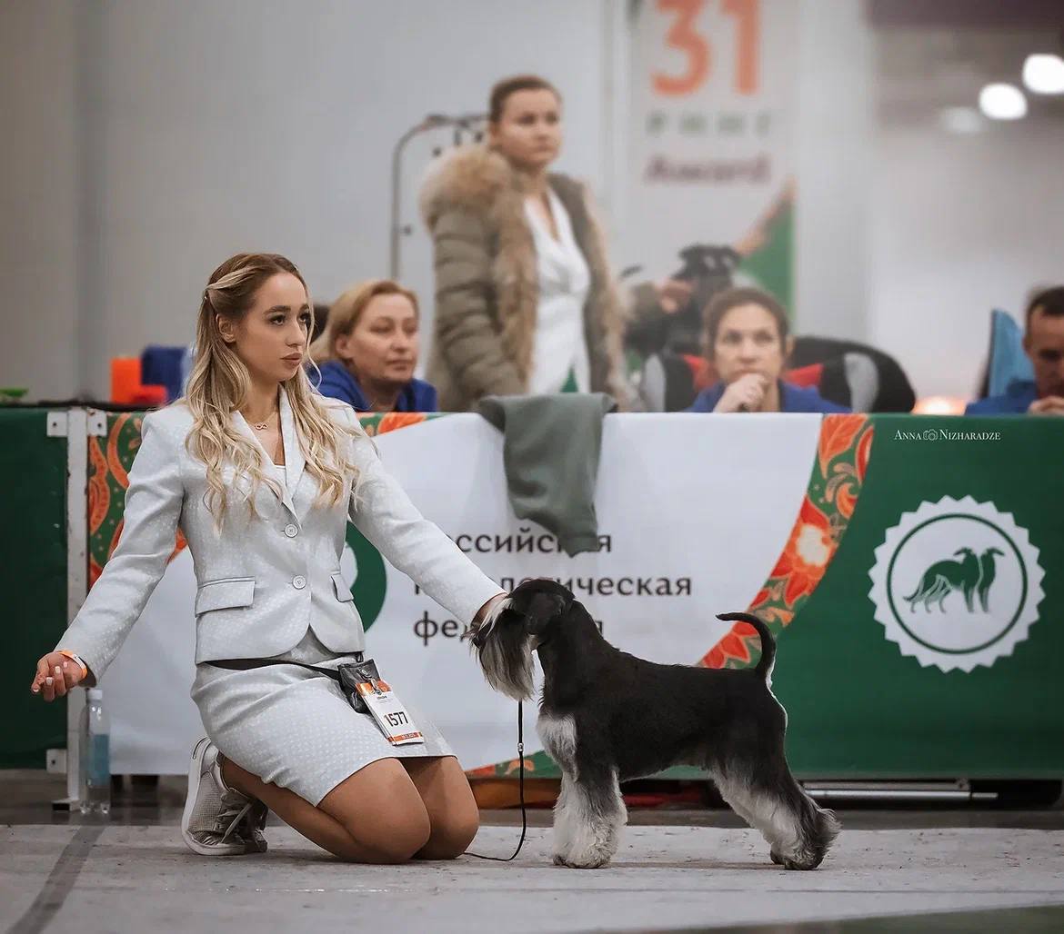 http://upforme.ru/uploads/0013/26/e2/64/97317.jpg