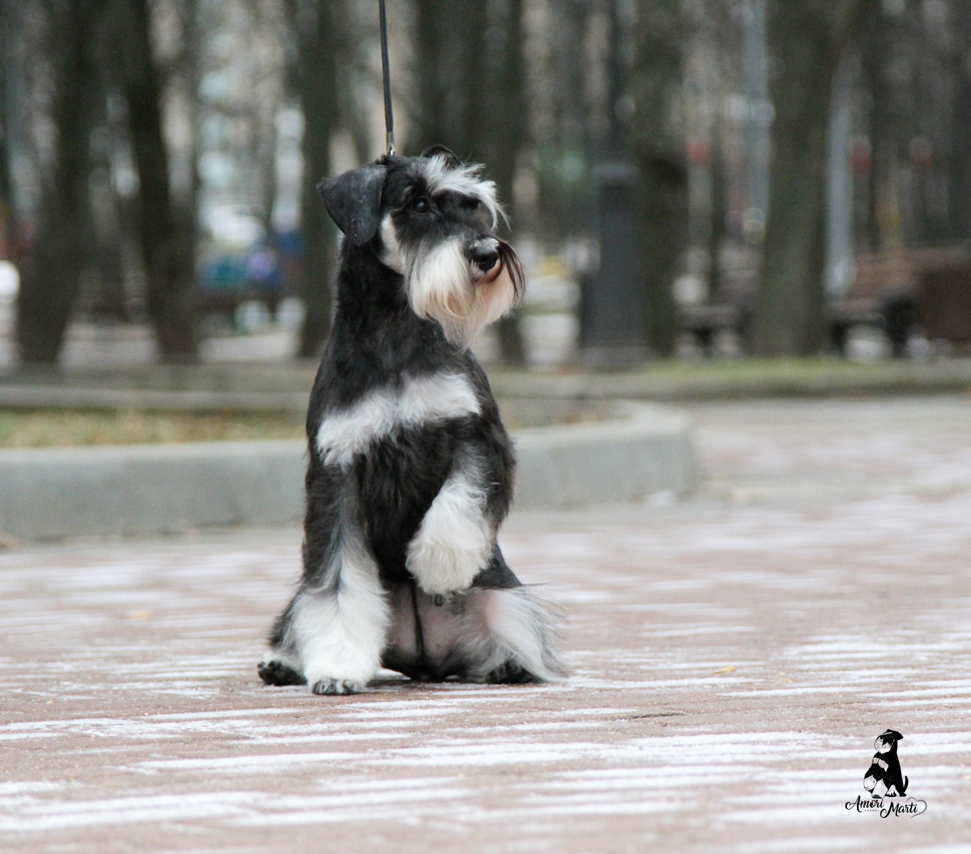http://upforme.ru/uploads/0013/26/e2/64/983024.jpg