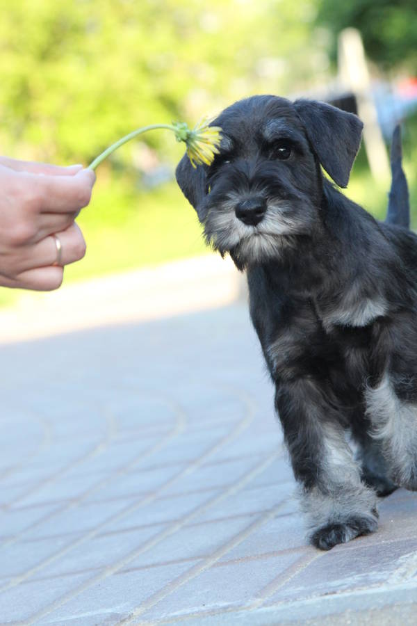 http://upforme.ru/uploads/0013/26/e2/64/984633.jpg